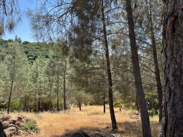 10353 Walnut Way, Kelseyville, CA 95451 - photo 1
