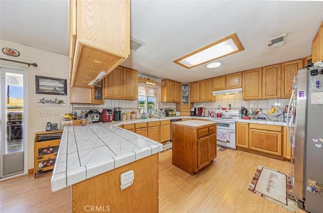 35095 Rough Rider Way, Raymond, CA 93653 - kitchen featuring appliances with stainless steel finishes, light wood-type flooring, under cabinet range hood, and backsplash