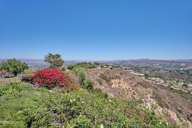 11848 Presilla Rd, Camarillo, CA 93012 - photo 54