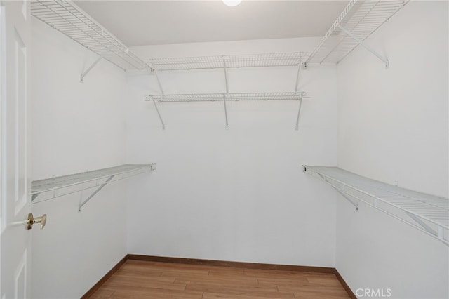 407 Mountain Laurel Ct, Mountain View, CA 94043 - spacious closet featuring light wood-style floors