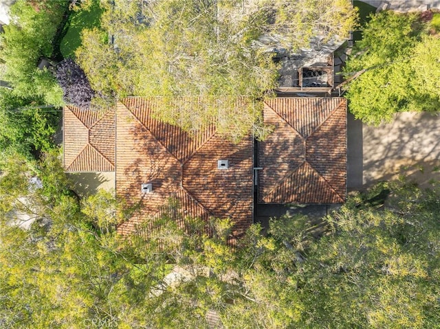 105 Via Capay, Palos Verdes Estates, CA 90274 - aerial view of property and surrounding area