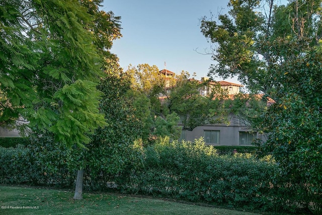 1425 Wentworth Ave, Pasadena, CA 91106 - view of yard