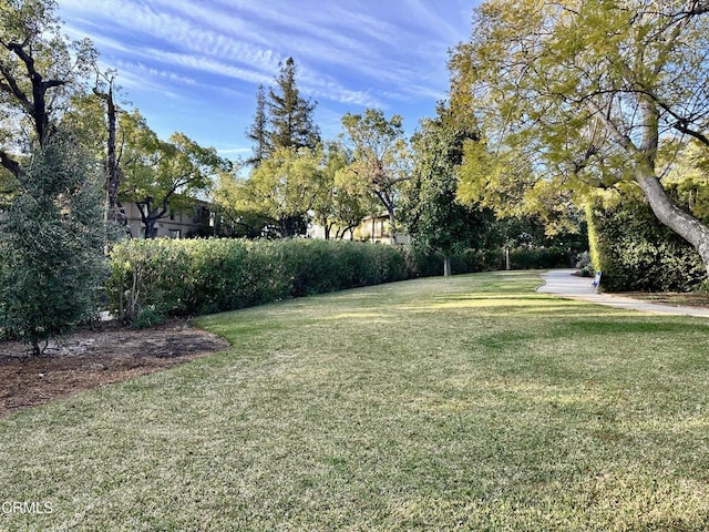 1425 Wentworth Ave, Pasadena, CA 91106 - view of grassy yard