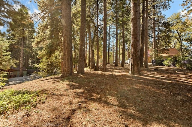 0 Valley View Dr, Running Springs, CA 92382