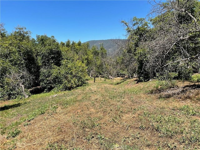 3 Los Gatos, Temecula, CA 92590