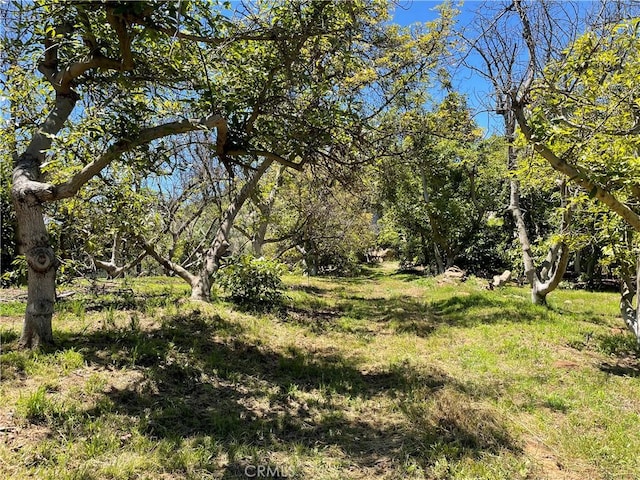 3 Los Gatos, Temecula, CA 92590