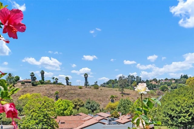 1744 Woodlark Ln, Fallbrook, CA 92028 - photo 33