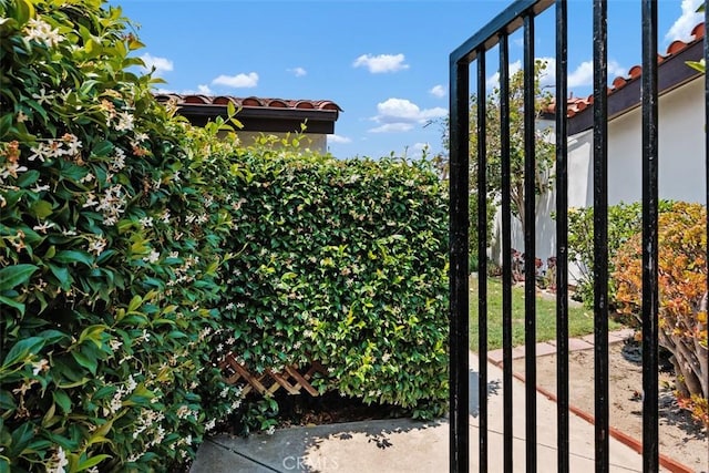 1744 Woodlark Ln, Fallbrook, CA 92028 - photo 6