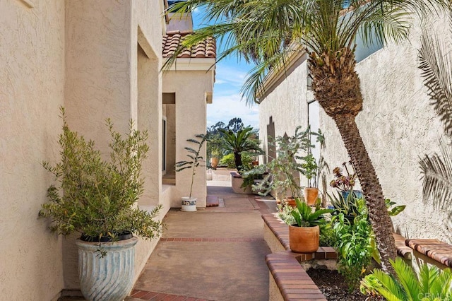 1265 Camino Lorado, San Marcos, CA 92078 - photo 3