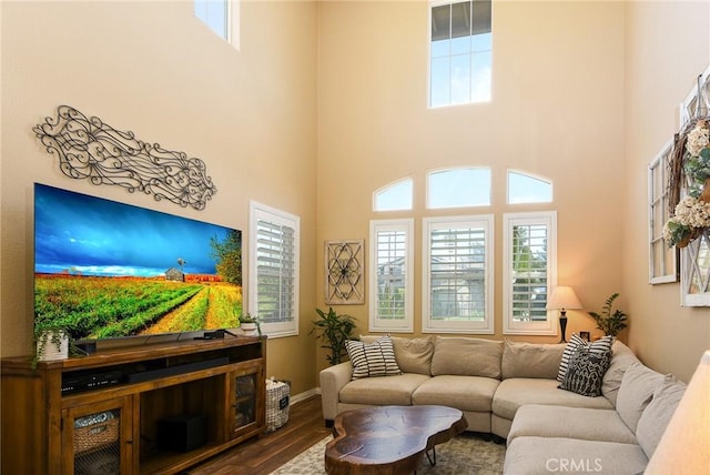 23825 Hayes Ave, Murrieta, CA 92562 - photo 10
