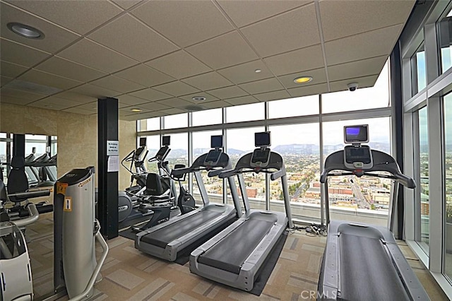 3810 Wilshire Blvd Unit 805, Los Angeles, CA 90010 - workout area with a drop ceiling, a wall of windows, and carpet floors