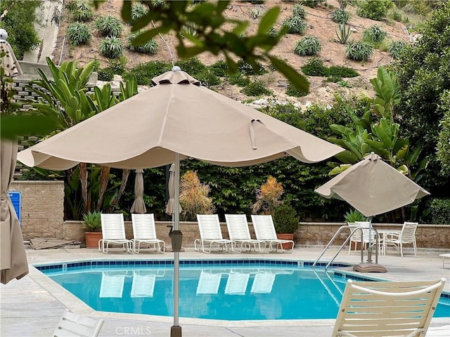 306 San Nicholas Ct, Laguna Beach, CA 92651 - community pool with a patio