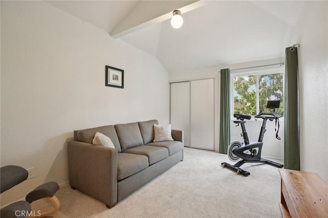 306 San Nicholas Ct, Laguna Beach, CA 92651 - exercise area featuring vaulted ceiling and carpet flooring