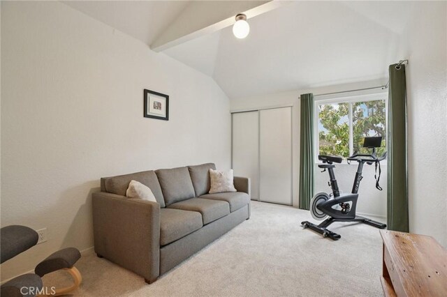 306 San Nicholas Ct, Laguna Beach, CA 92651 - exercise room with lofted ceiling and carpet floors