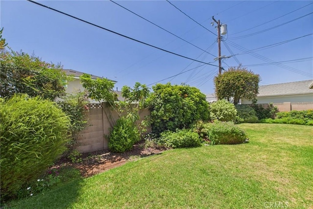 10469 Gregory Cir, Cypress, CA 90630 - view of yard