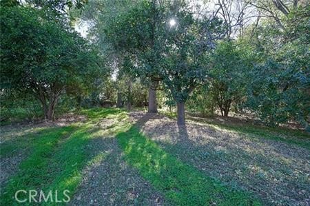 200 E 13th St, Upland, CA 91786 - view of undeveloped land