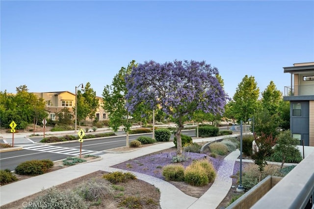 160 Mirth, Irvine, CA 92618 - view of yard