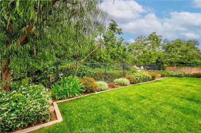 868 Ethelinda Way, Brea, CA 92821 - view of yard
