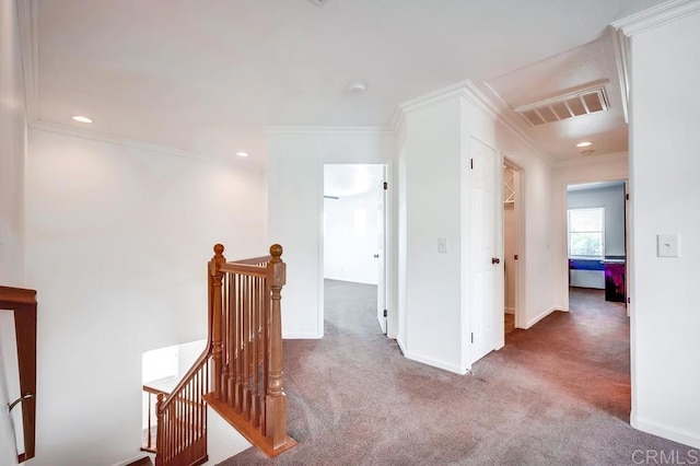 35616 Country Park Dr, Wildomar, CA 92595 - photo 31