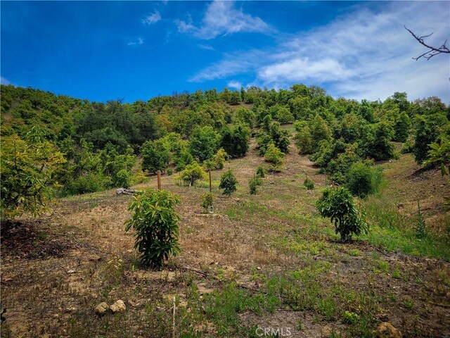 5 Via Vaquero, Temecula, CA 92590 - photo 20