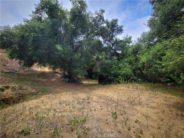 5 Via Vaquero, Temecula, CA 92590 - photo 29