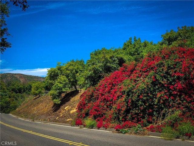 5 Via Vaquero, Temecula, CA 92590