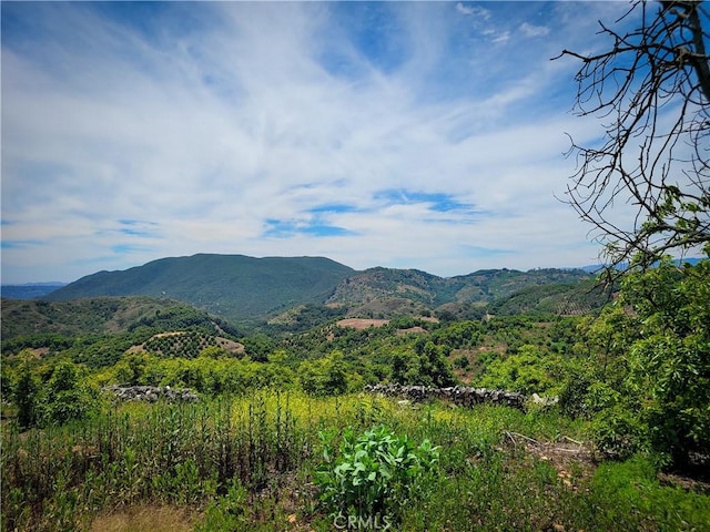 5 Via Vaquero, Temecula, CA 92590