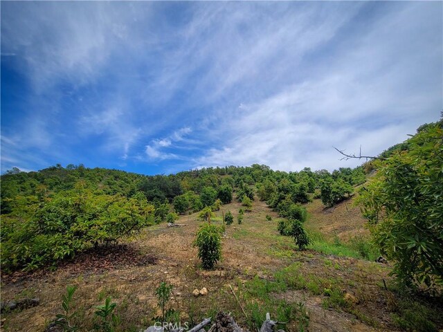 5 Via Vaquero, Temecula, CA 92590 - photo 31