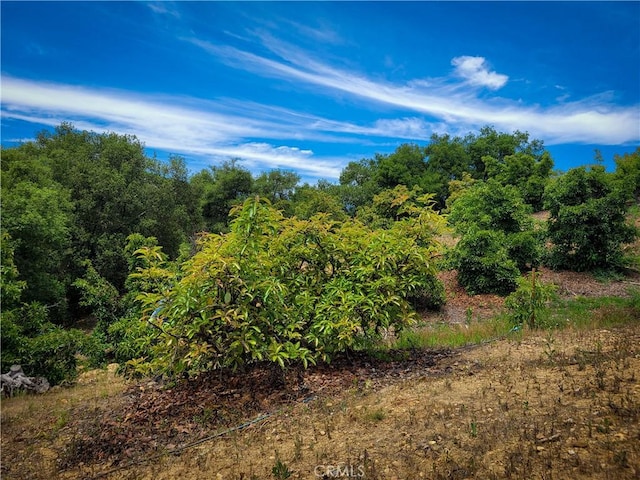 5 Via Vaquero, Temecula, CA 92590