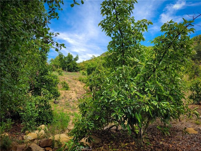 5 Via Vaquero, Temecula, CA 92590 - photo 28