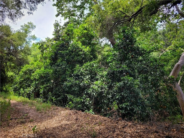 5 Via Vaquero, Temecula, CA 92590