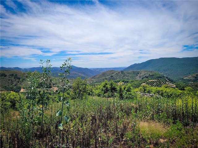 5 Via Vaquero, Temecula, CA 92590