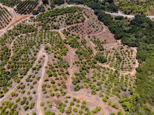 5 Via Vaquero, Temecula, CA 92590 - photo 35