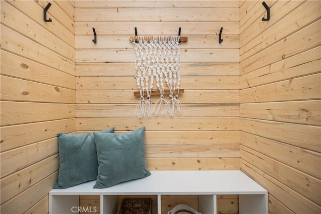 26871 Via Santa Lucia, Mission Viejo, CA 92691 - mudroom with wood walls and a sauna