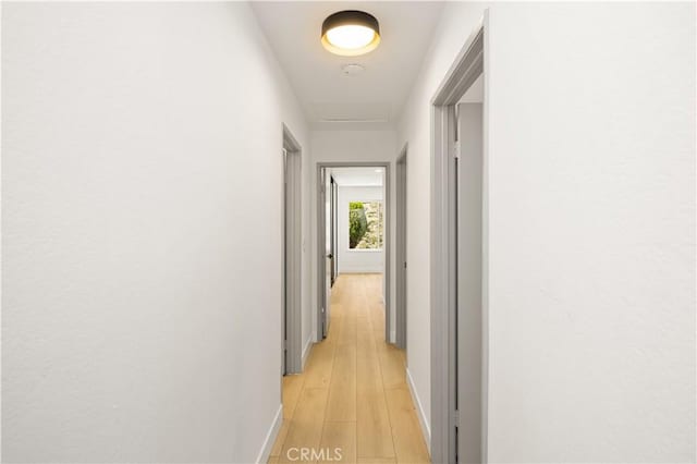 26871 Via Santa Lucia, Mission Viejo, CA 92691 - hall with baseboards and light wood-style flooring