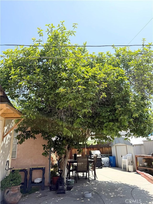 516 N Brand Blvd, San Fernando, CA 91340 - fenced backyard featuring outdoor dining area, a patio area, a storage unit, and a grill