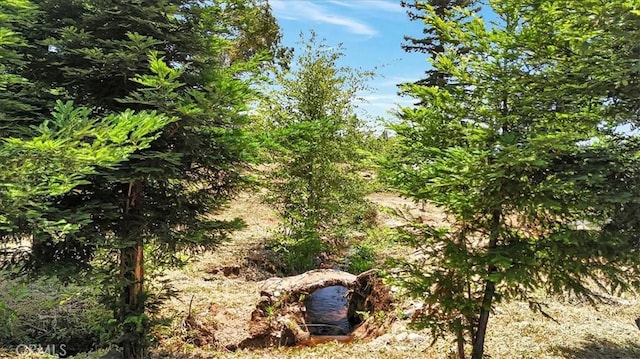 1020 Elliott Rd, Paradise, CA 95969