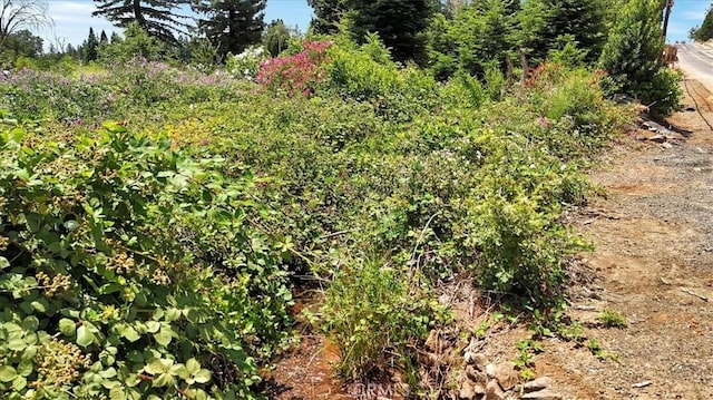 1020 Elliott Rd, Paradise, CA 95969
