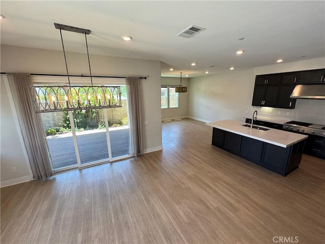 325 Sawbuck, Irvine, CA 92618 - kitchen featuring dark cabinets, under cabinet range hood, light wood finished floors, light countertops, and open floor plan