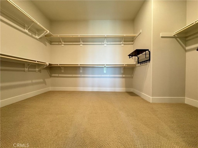 325 Sawbuck, Irvine, CA 92618 - walk in closet with light carpet