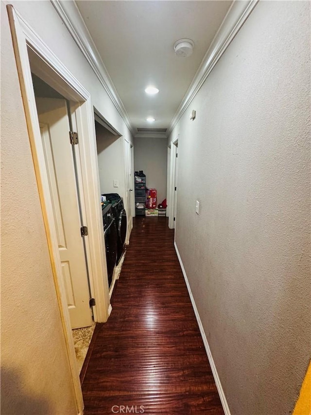 7411 Elsie St, Los Angeles, CA 90001 - photo 11