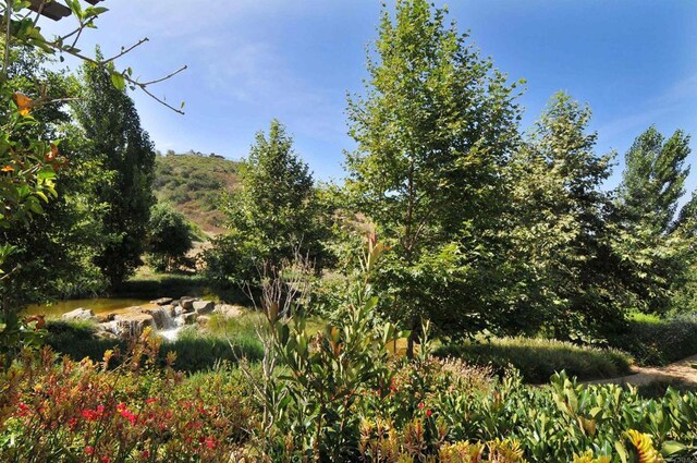 2258 Aventurine Pl, Carlsbad, CA 92009 - photo 61