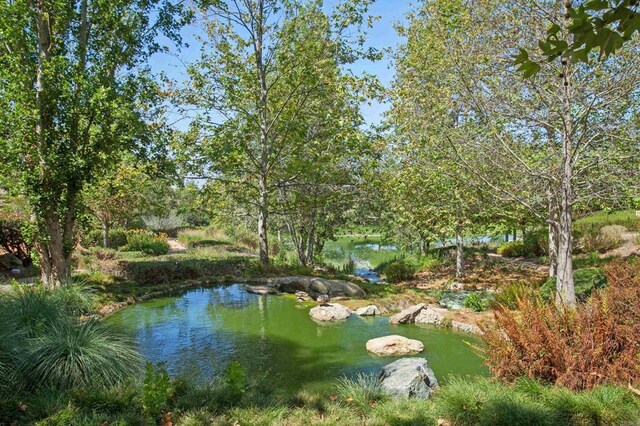 2258 Aventurine Pl, Carlsbad, CA 92009 - photo 67
