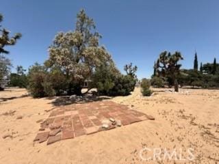 20219 Osseo Rd, Apple Valley, CA 92308 - view of local wilderness
