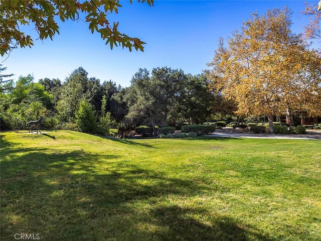 11485 Awenita Ct, Chatsworth, CA 91311 - view of home's community featuring a lawn