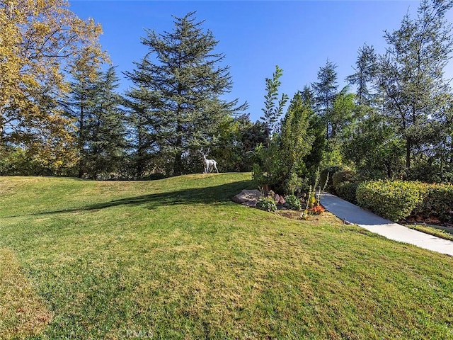 11485 Awenita Ct, Chatsworth, CA 91311 - view of green lawn