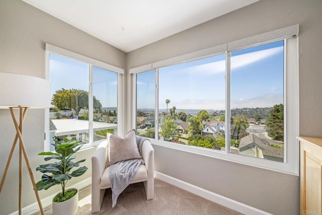 4507 Carnaby Ct, Carlsbad, CA 92010 - sunroom with carpet and plenty of natural light