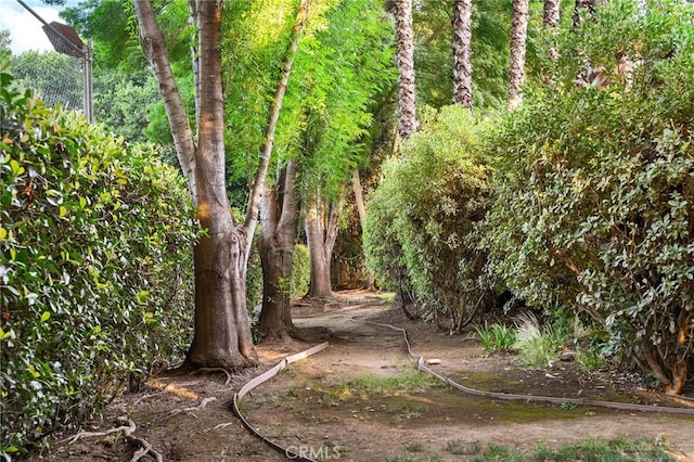 3130 Shady Grove Ct, Chico, CA 95973 - view of nature
