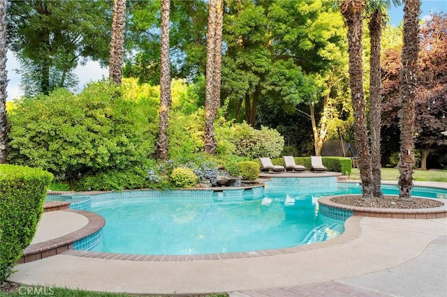 3130 Shady Grove Ct, Chico, CA 95973 - outdoor pool featuring view of scattered trees