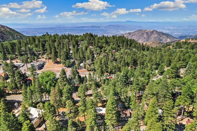 2616 Secret Dr, Running Springs, CA 92382 - aerial view of property and surrounding area with mountains